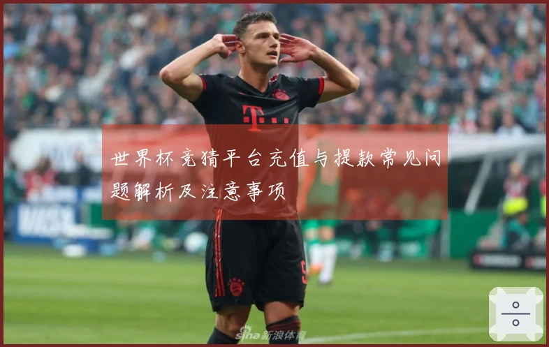 世界杯竞猜平台充值与提款常见问题解析及注意事项