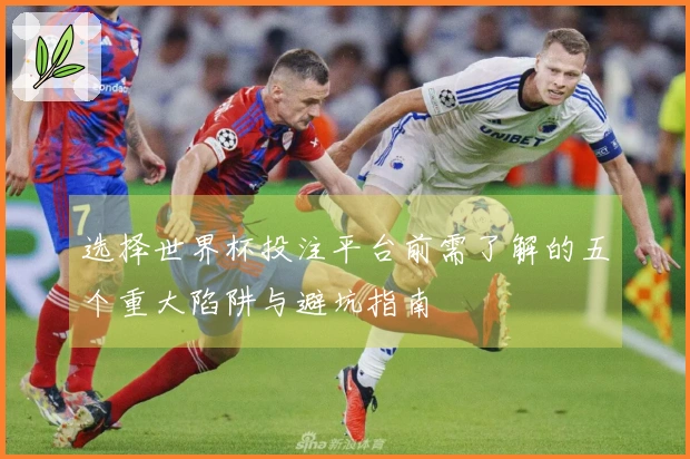 选择世界杯投注平台前需了解的五个重大陷阱与避坑指南