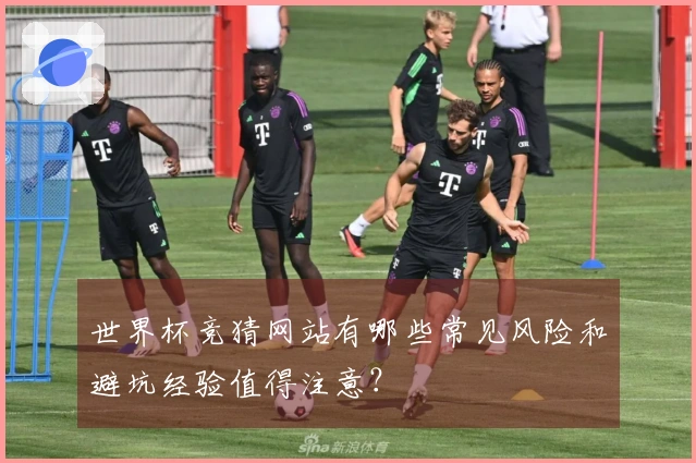 世界杯竞猜网站有哪些常见风险和避坑经验值得注意？