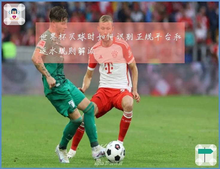世界杯买球时如何识别正规平台和返水规则解读