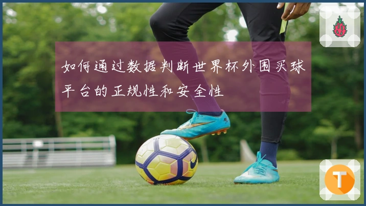如何通过数据判断世界杯外围买球平台的正规性和安全性