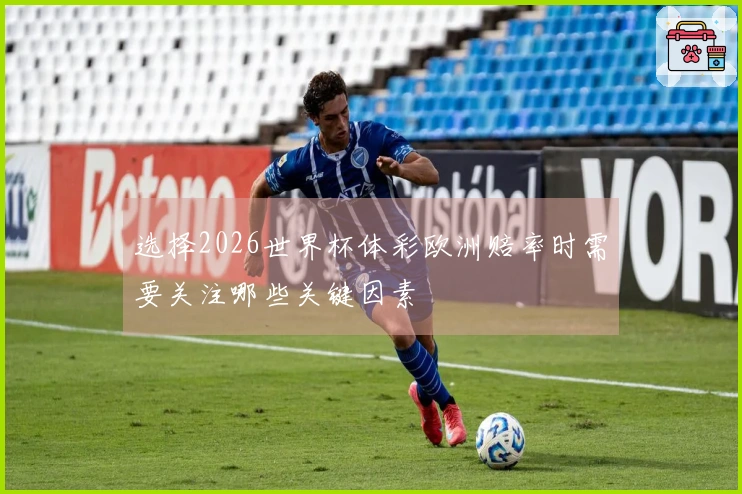 选择2026世界杯体彩欧洲赔率时需要关注哪些关键因素