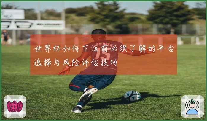 世界杯如何下注前必须了解的平台选择与风险评估技巧