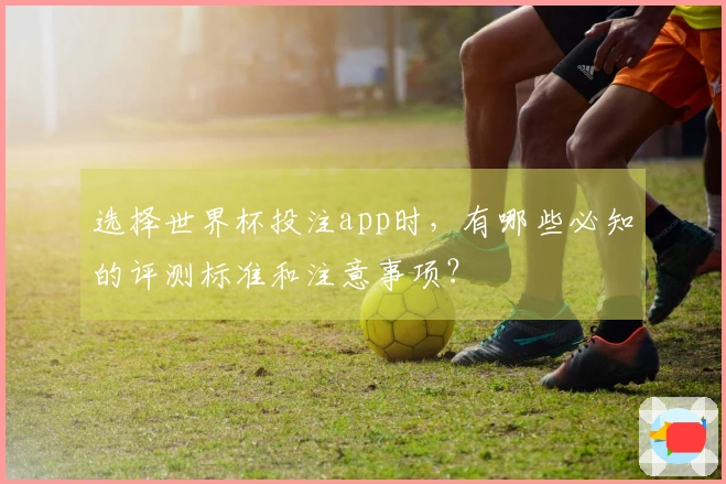 选择世界杯投注app时，有哪些必知的评测标准和注意事项？