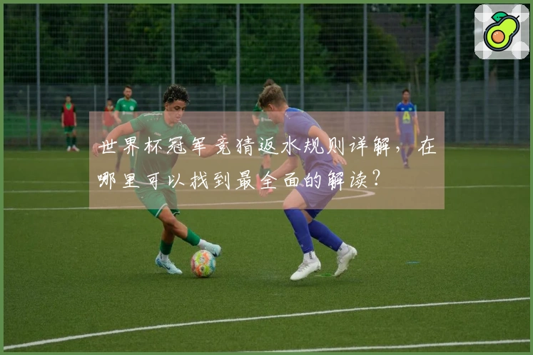 世界杯冠军竞猜返水规则详解，在哪里可以找到最全面的解读？