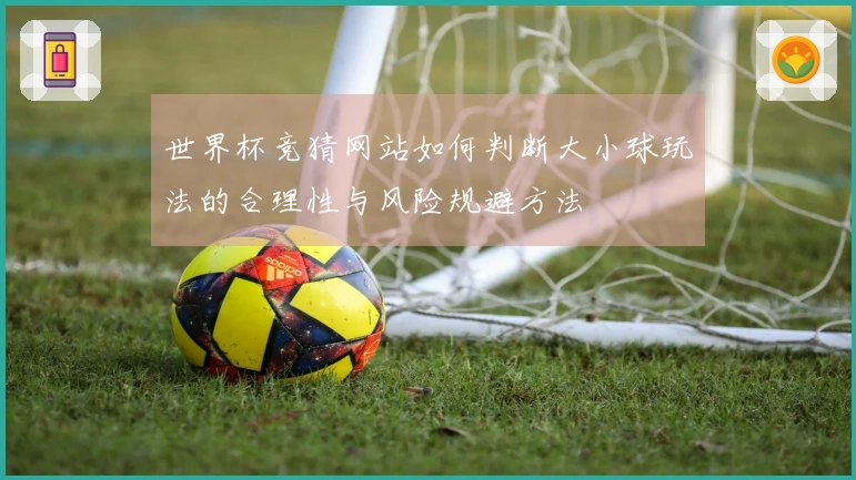 世界杯竞猜网站如何判断大小球玩法的合理性与风险规避方法