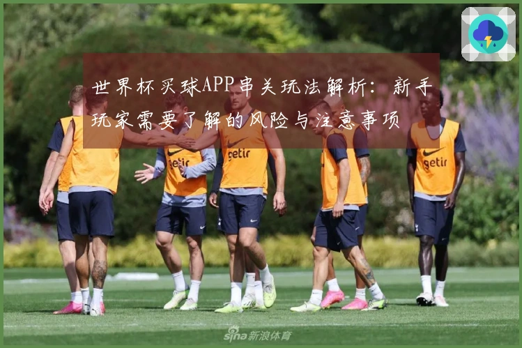 世界杯买球APP串关玩法解析：新手玩家需要了解的风险与注意事项