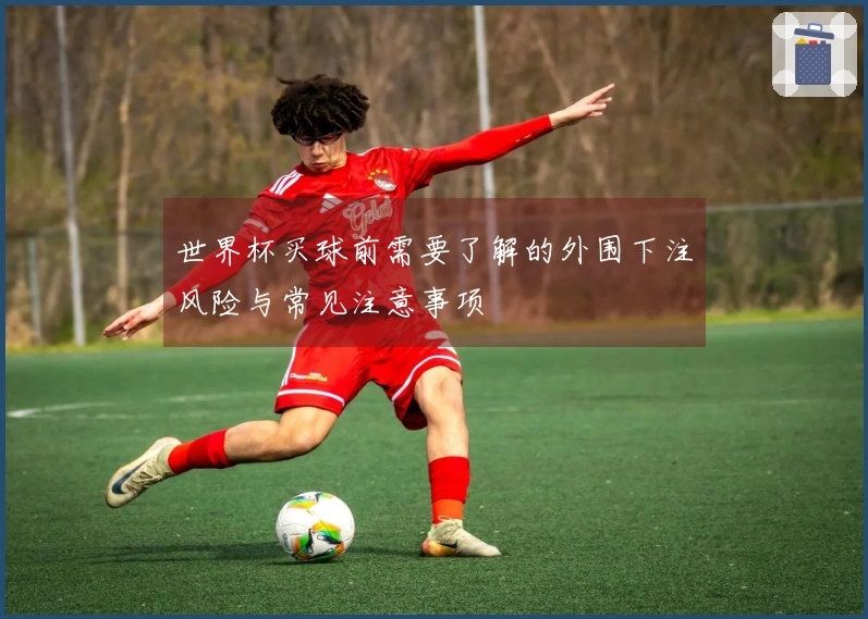 世界杯买球前需要了解的外围下注风险与常见注意事项