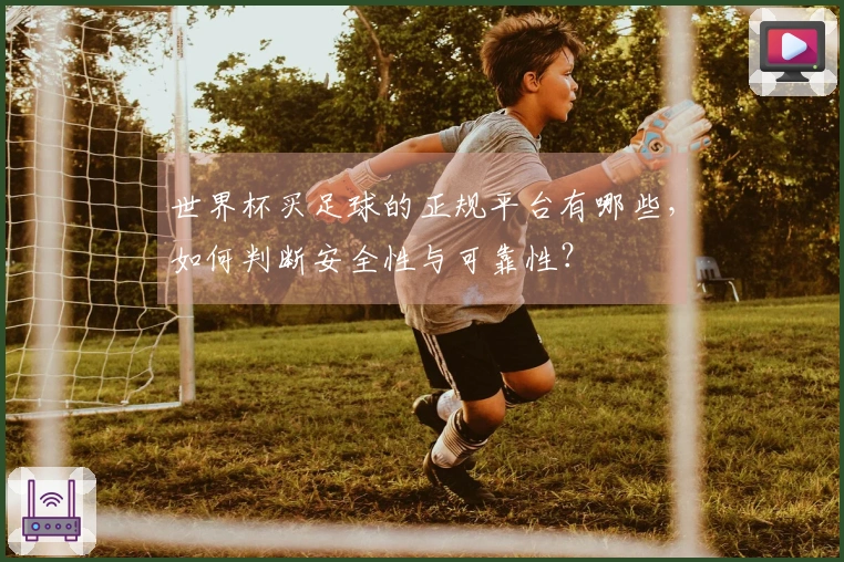 世界杯买足球的正规平台有哪些，如何判断安全性与可靠性？