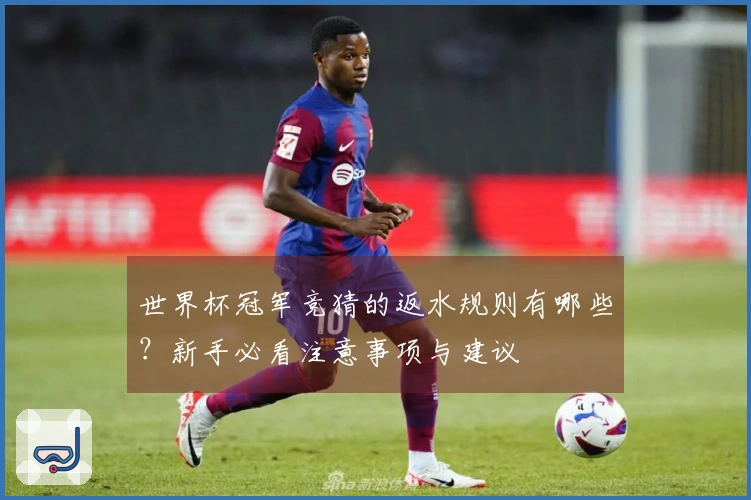 世界杯冠军竞猜的返水规则有哪些？新手必看注意事项与建议