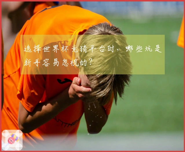 选择世界杯竞猜平台时，哪些坑是新手容易忽视的？