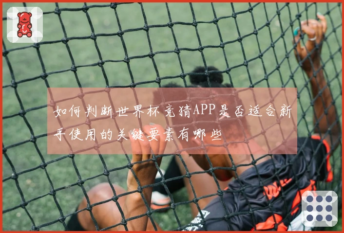 如何判断世界杯竞猜APP是否适合新手使用的关键要素有哪些
