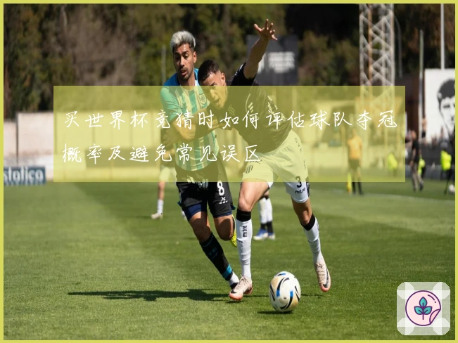 买世界杯竞猜时如何评估球队夺冠概率及避免常见误区
