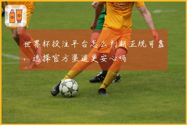 世界杯投注平台怎么判断正规可靠，选择官方渠道更安心吗