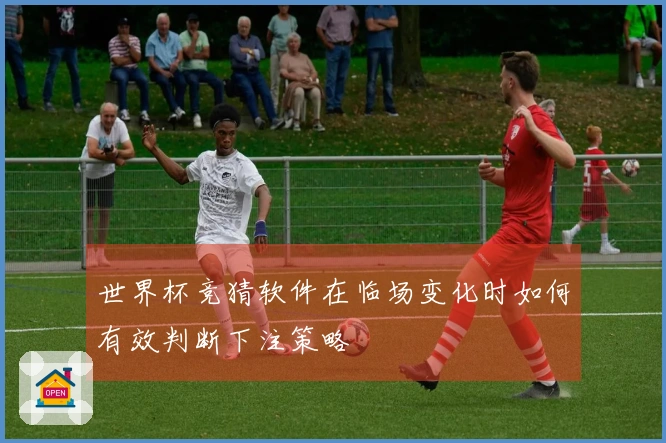 世界杯竞猜软件在临场变化时如何有效判断下注策略