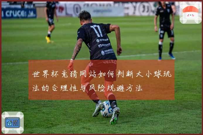 世界杯竞猜网站如何判断大小球玩法的合理性与风险规避方法